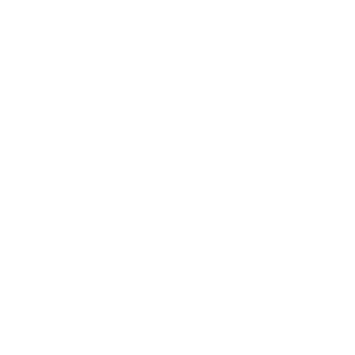 Supporting the Community